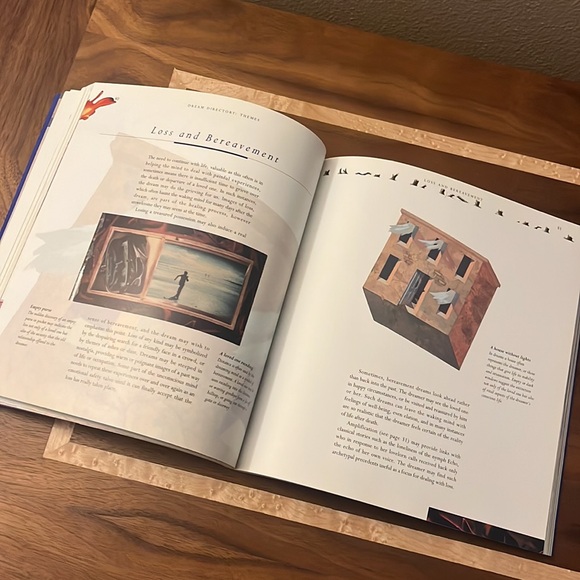 The Secret Language of Dreams - Picture 7 of 10